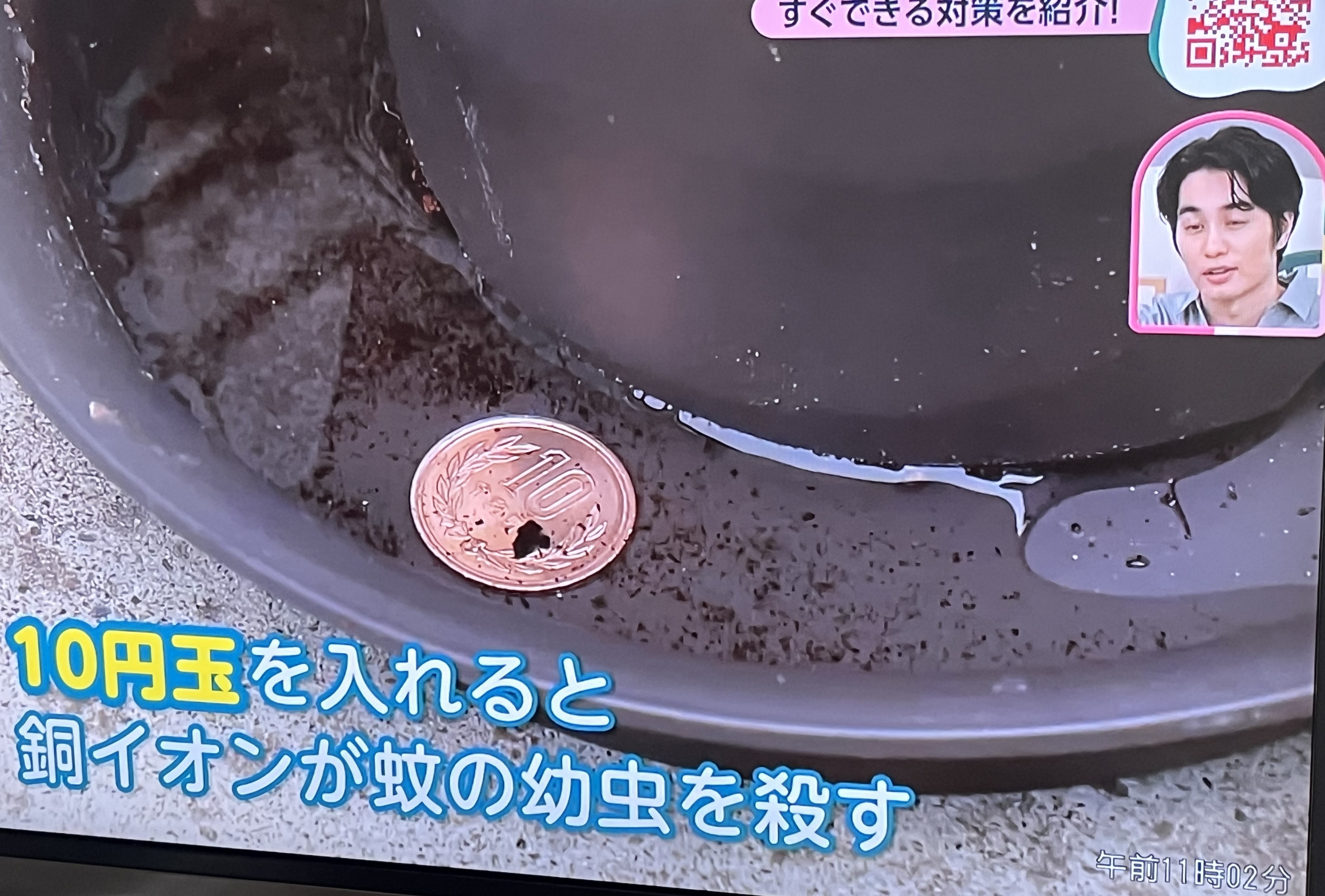 蚊の発生を防止する光触媒コーティング剤